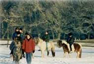 Winterferien im Pony Park